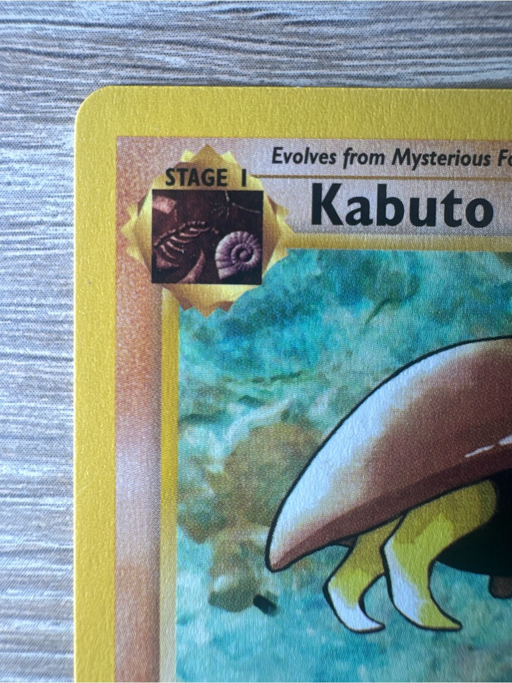 Kabuto #50/62/W Stamp
Pokemon Fossil - Picture 2 of 15